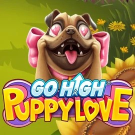online slot from RubyPlay